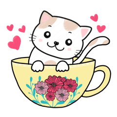 Cat in a Cup : Make You Smile