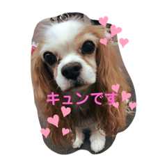 RiSA_20210602015820