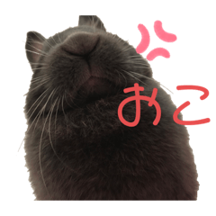 arisa_20210602023055