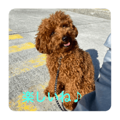 Asuka_20210602120924