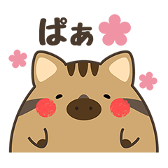 Pooh_chan.Wild boar in Izu.