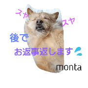 MokichiandMonta2