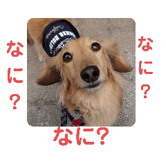 asako_20210602144303