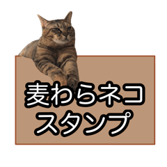 mugiwara-cat sticker