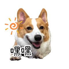 包屁孩
