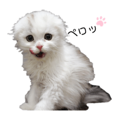 Rina_20210602180358
