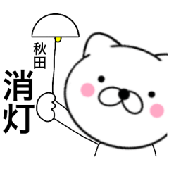 Name cat Akita