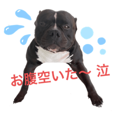 yun_20210602173810