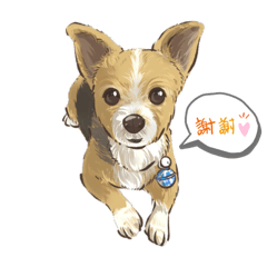 毛小孩日常 by Lucy