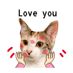 Nana_賴娜娜