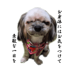 The kotobuki dog's lovely stickers