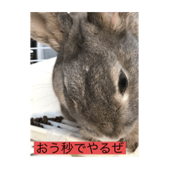Ace_20210603080335