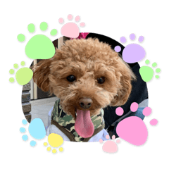 asuka_20210603080832