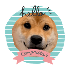 ややや☆