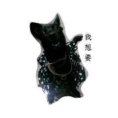 黑狗小可愛