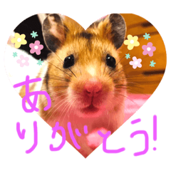 cocoa_20210602224141