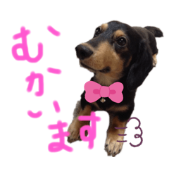 rina_20210602225433