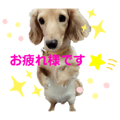 HANA_20210603023441