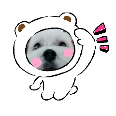 cat and dog(•‿•)