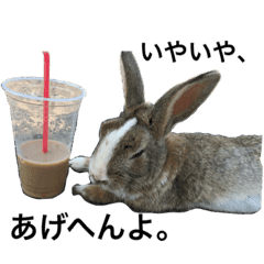 ゲスい 可愛い 動物達 Line スタンプ Line Store ゲスい 可愛い 動物達 Line スタンプ Line Store