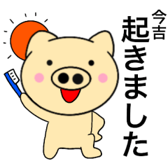 Name pig Imayoshi