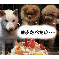 kazuki_20210603152033