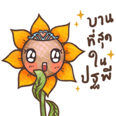 SunSun (Thai Sunflower)