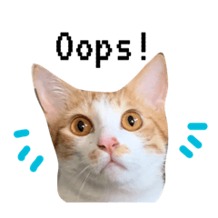 Sin8_