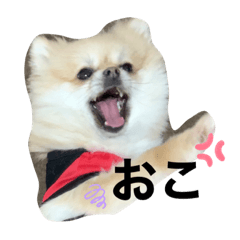 ayumi_20210603160033