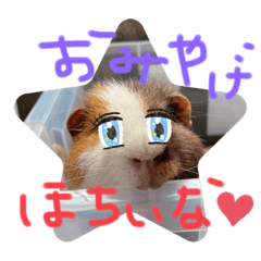 cocoa_20210603194855