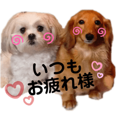 RINA_20210603173227