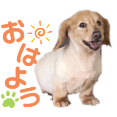 maichi_20210603211947