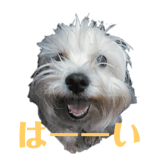 KANA2_20210603152941