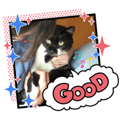 aoi_20210603222006