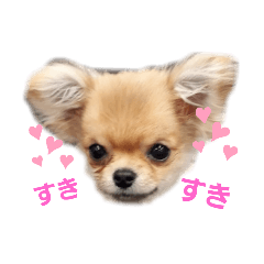 king_20210603230221
