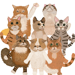 8 Cats moving sticker