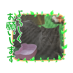 nanami_20210603232502