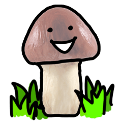 Mr. Shiitake Mushrooms