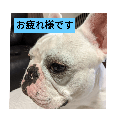 yamazaki_20210603164354