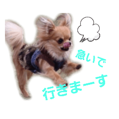 king_20210604004557