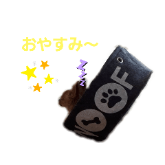 king_20210604020547