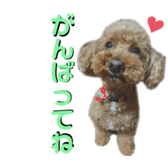 ayumi_20210604085739