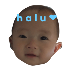 halu  stamp