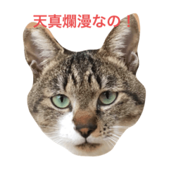 saya_20210603210006