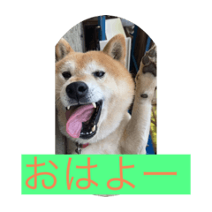 saya_20210603202940