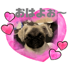 sobagon