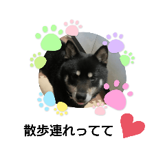 AKIKO_20210604103624