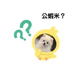 博美娜比表情包