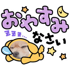 rina_20210603222008