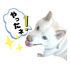 smile_20210603210933